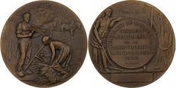 World Coins - France, Medal, Concours départementale de la race flamande, 1905, Bronze