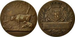 World Coins - France, Medal, Concours des Races Bovines, St Brieuc, Marey, , Bronze