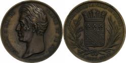 World Coins - France, Medal, Charles X, Visite de Troyes, 1828, Bronze, Depaulis/Depuymaurin