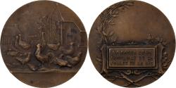 World Coins - France, Medal, La Basse-cour familiale de la Vallée de la Lys, Bronze