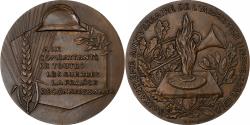World Coins - France, Medal, 60ème Anniversaire de l'Armistice, 1978, Bronze, Delamarre