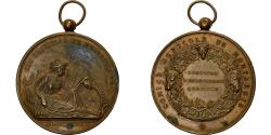 World Coins - France, Medal, Comice Agricole de Montargis, Bronze, Bescher,