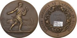 World Coins - France, Medal, Comice Agricole de l'Arrondissement de Nevers, 1919, Bronze