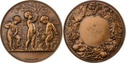 World Coins - France, Medal, 1972, Bronze, Alphée Dubois,