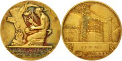 World Coins - France, Medal, Électricité de France et gaz de France, Business & industry