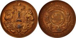 World Coins - France, Medal, Société Départementale d'Agriculture de la Nièvre, 1884