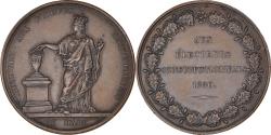 World Coins - France, Medal, Charles X, Aux Electeurs Constitutionnels, History, 1830