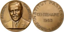 World Coins - France, Medal, Albert Calmette , Institut Pasteur, 1963, Bronze, Turin,