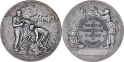 World Coins - France, Medal, Société d'Agriculture, Viticulture de Grenoble, Rivet,