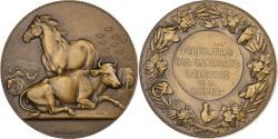 World Coins - France, Medal, Syndicats d'élevage de la Nièvre, n.d., Bronze, Dubois.A