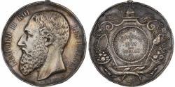 World Coins - Belgium, Medal, Leopold II, Société Agricole du Limbourg, Exposition, 1873