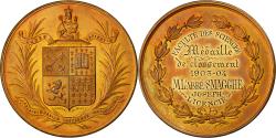 World Coins - France, Medal, French Third Republic, Arts & Culture, 1904, , Bronze