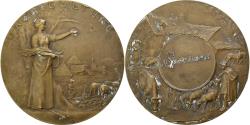 World Coins - France, Medal, Agriculture, Bronze, Prud'homme,