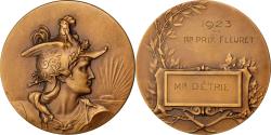 World Coins - France, Medal, French Third Republic, Politics, Society, War, 1923,