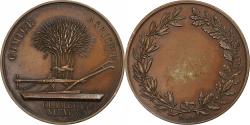 World Coins - France, Medal, Comice Agricole de Clamecy, Nièvre, n.d., Copper,