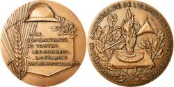 World Coins - France, Medal, 60ème Anniversaire de l'Armistice, 1978, Delamarre,