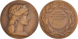 World Coins - France, Medal, Société Républicaine des Conférences Populaires, Politics