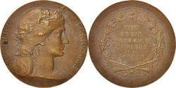 World Coins - France, Medal, French Third Republic, Politics, Society, War, Dupuis.D