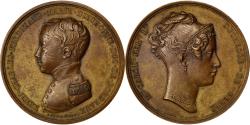 World Coins - France, Medal, Charles X, Politics, Society, War, Dubois.E, , Bronze