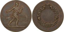 World Coins - France, Medal, Comice Agricole de l'Arrondissement de Nevers, n.d., Bronze
