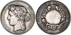 World Coins - France, Medal, Société d'Agriculture et d'Horticulture de Louhans, Silver