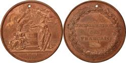 World Coins - France, Medal, End of Monarchy, Politics, Society, War, 1790, Gatteaux