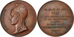 World Coins - France, Medal, French Second Republic, Politics, Society, War, 1848, Caqué