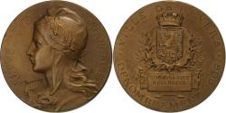 World Coins - France, Medal, Ville de Nevers, Dénombrement, 1906, Bronze, Rasumny,