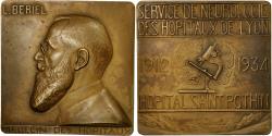 World Coins - France, Medal, Médecine, Docteur L.Bériel, Lyon, 1934, Linossier,