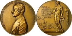 World Coins - France, Medal, Les Présidents de la République, Paul Deschanel, 1920, Drivier