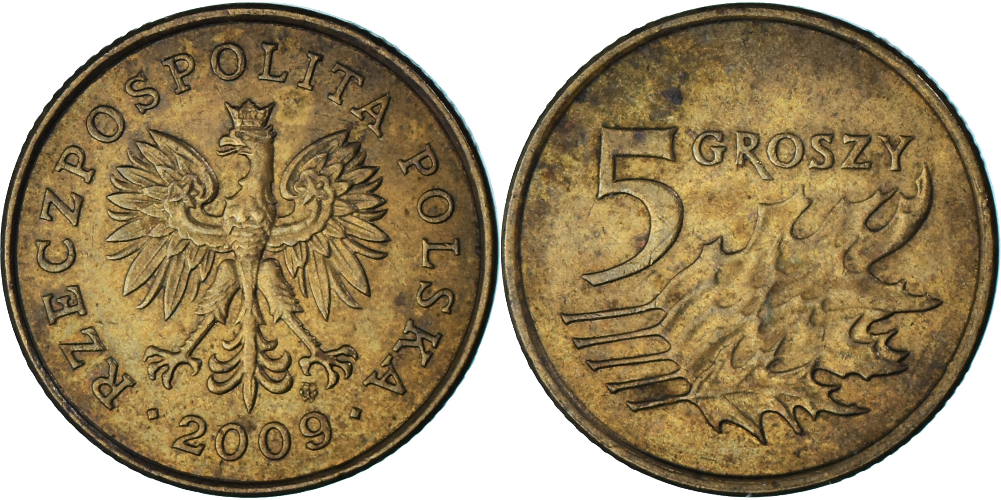 Coin, Poland, 5 Groszy, 2009 | European Coins