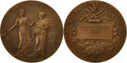 World Coins - France, Medal, Agriculture, Concours National de Rennes, 1904, Dubois.A