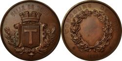 World Coins - France, Medal, Concours de Tir, Ville de Toul, 1880, , Bronze