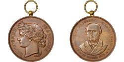 World Coins - France, Medal, French Third Republic, Politics, Society, War, 1879,