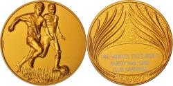 World Coins - France, Medal, Club Savoyard, Sports & leisure, 1982, , Bronze