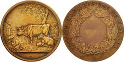 World Coins - France, Medal, Business & industry, Dropsy, , Bronze
