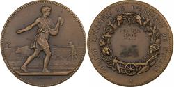 World Coins - France, Medal, Comice Agricole de l'Arrondissement de Nevers, 1904, Bronze