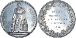World Coins - France, Medal, Louis-Philippe Ier, Ecoles de Médecine, Rennes, 1845, Denon