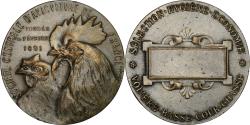 World Coins - France, Token, Société Centrale d'Aviculture de France, 1891, Silvered bronze