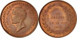 World Coins - France, Medal, Louis Napoléon Bonaparte, Politics, Society, War, 1848