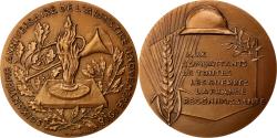 World Coins - France, Medal, French Fifth Republic, History, 1978, Delamarre,