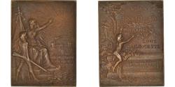 World Coins - France, Medal, Société Mixte et Sportive de Nice, Sports & leisure, 1901