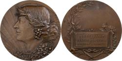 World Coins - France, Medal, Association du mérite agricole du Nord, Bronze,
