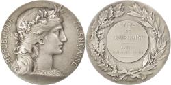 World Coins - France, Medal, French Third Republic, Politics, Society, War, Dupuis.D