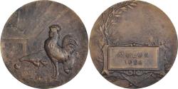 World Coins - France, Medal, Aviculture, Agriculture, 1924, Charles, , Bronze