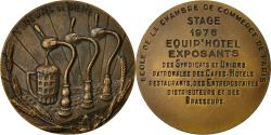 World Coins - France, Medal, Ecole de la Chambre de commece de Paris, 1976, Mardini