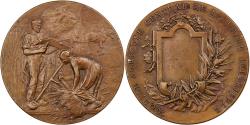 World Coins - France, Medal, Comice Agricole, Loire Inférieure, n.d., Bronze, Rivet