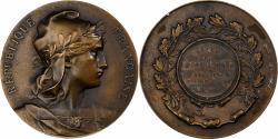 World Coins - France, Medal, Offert par Mr Bellanger, Sénateur d'Ille et Vilaine, Bronze