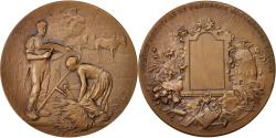 World Coins - France, Medal, Business & industry, Rivet, , Bronze