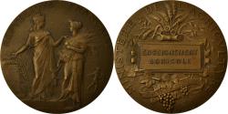 World Coins - France, Medal, Agriculture, Enseignement Agricole, Dubois.A, , Bronze